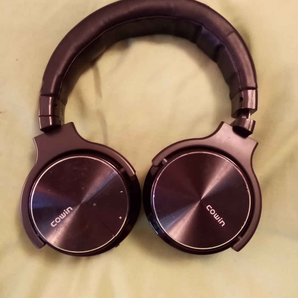Cowin Ear phones